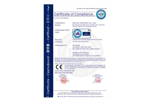 电容运转异步电动机CE认证